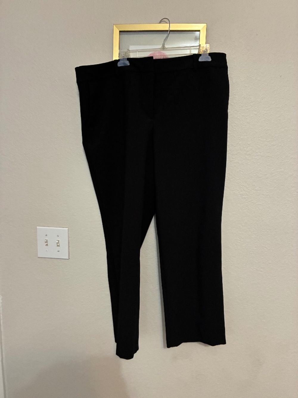 Ann Taylor dress pants
